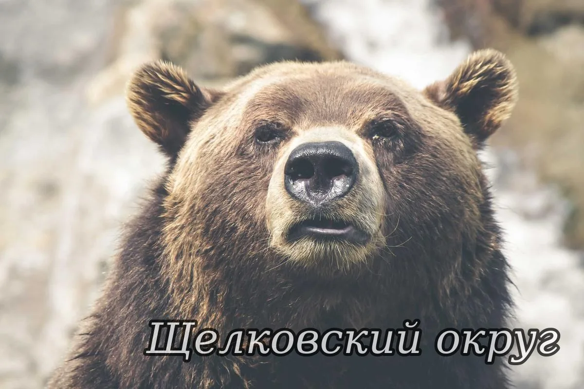 🗓 10.10.2026 года