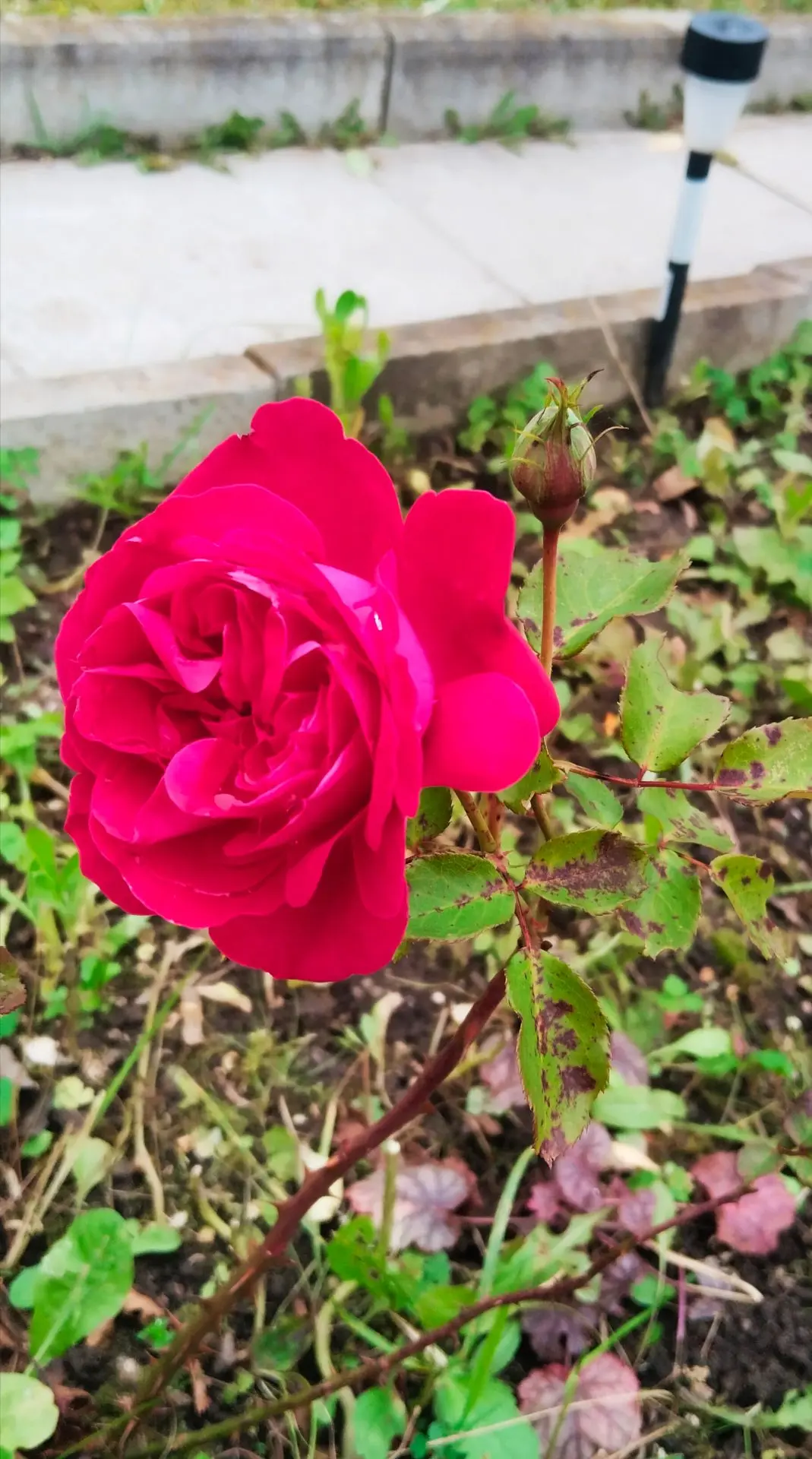 Фото