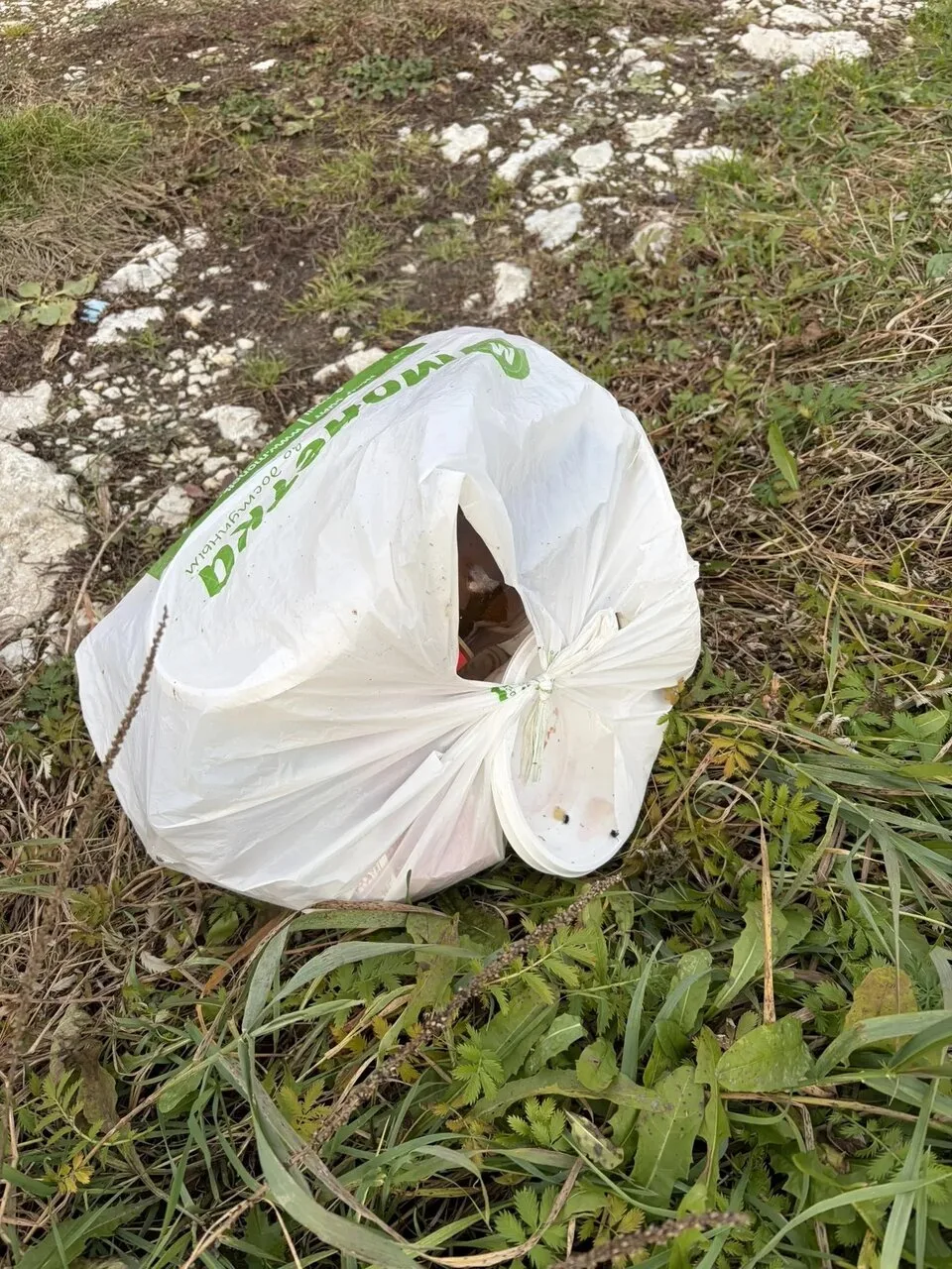 Фото 1: «Вот так вот не надо».
