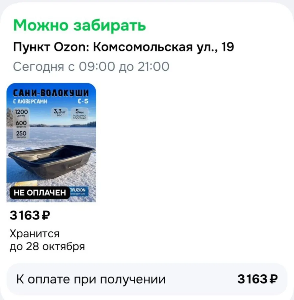 Пришли ещё одни сани