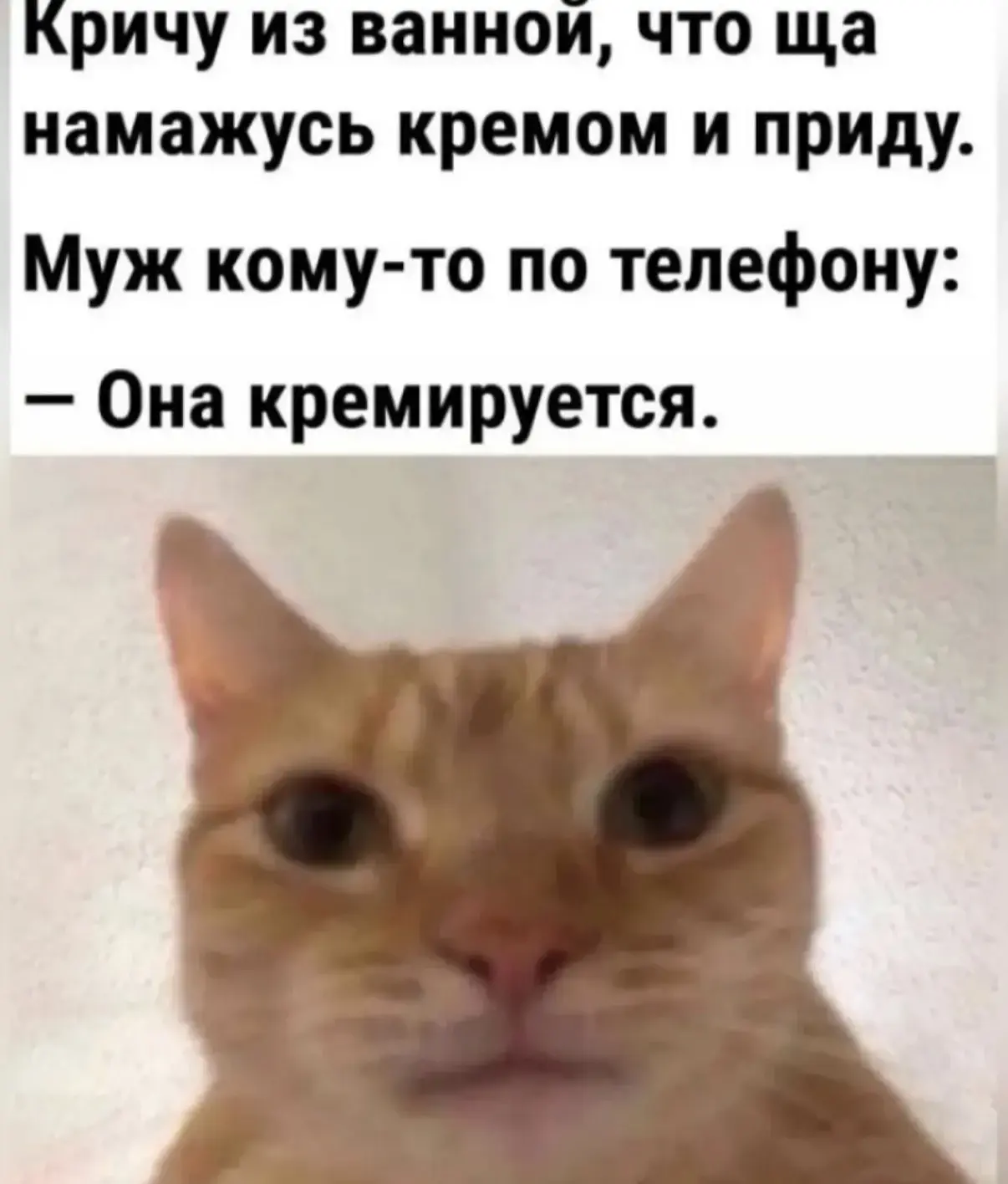 Доброе утро) девочки, кремируйтесь; пожалуйста, кремироваться утром обязательно 🤣🤣