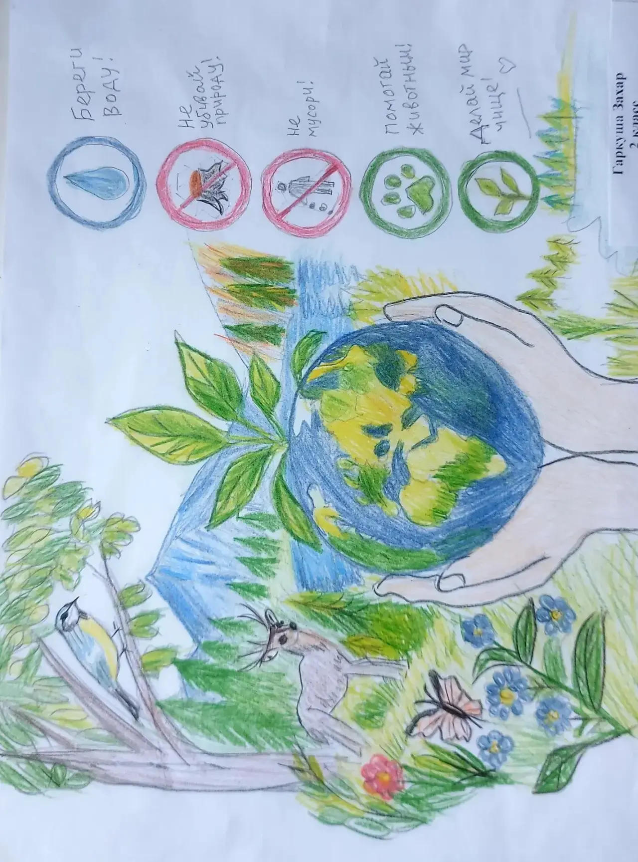 🎨 В нашей школе открылся конкурс рисунков и плакатов в рамках Недели экологии, биологи...