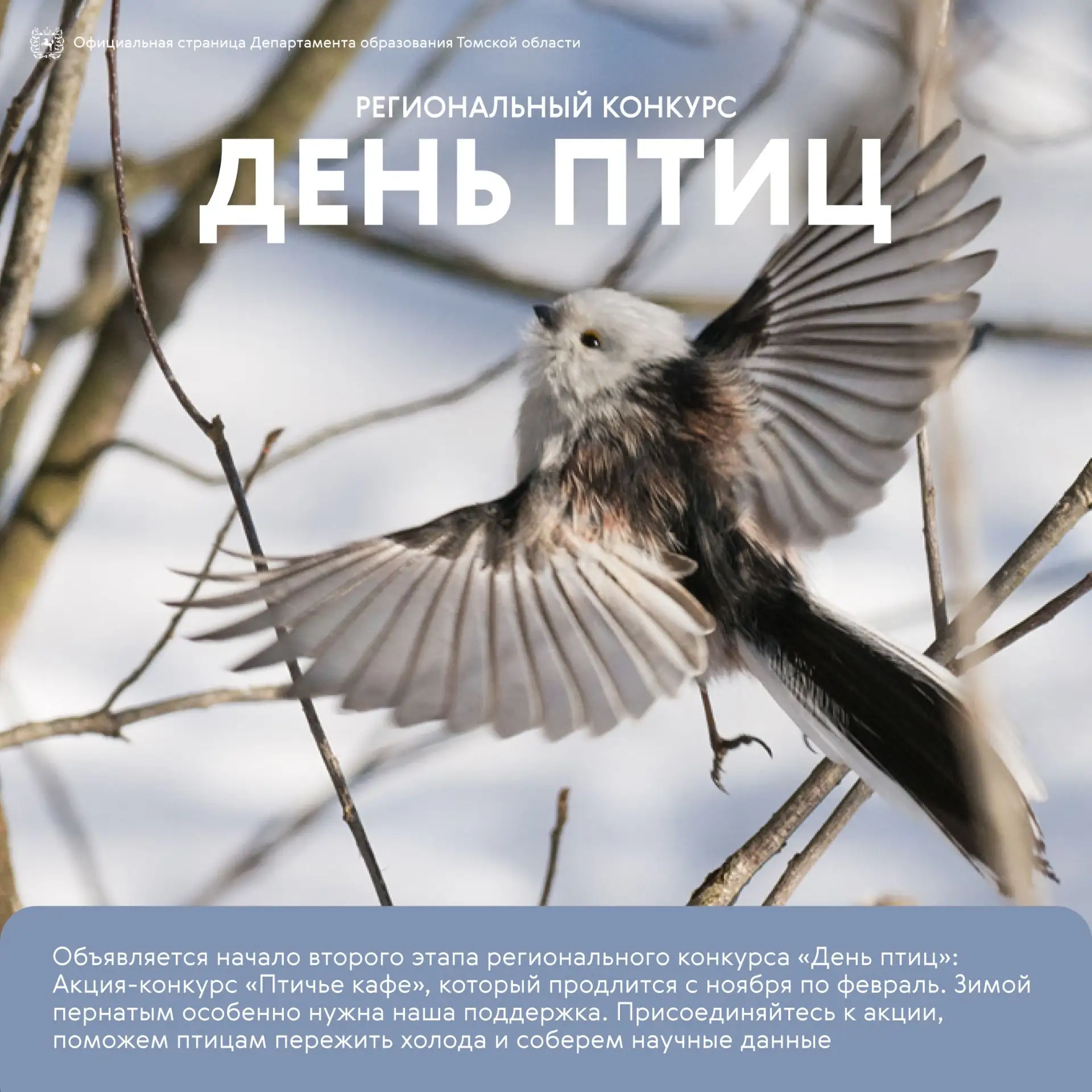 🦉Доброе дело и научное исследование