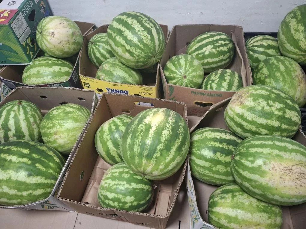 🍉 На улице похолодало, стали закрываться и многочисленные арбузные точки. Но мы успели!