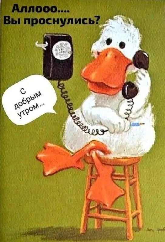 #ДоброеУтро