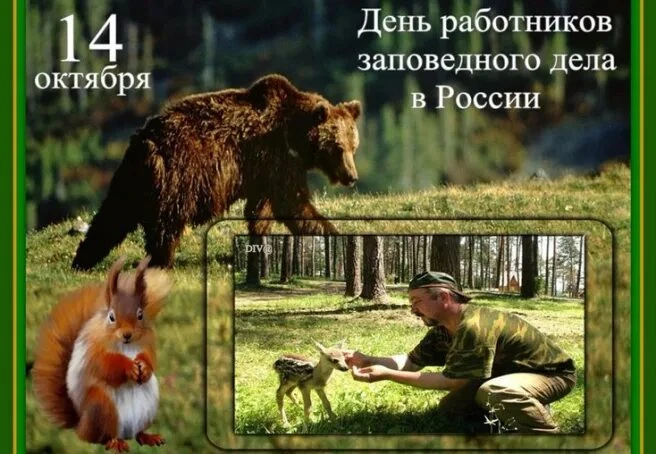 🌲 Заповедные уголки нашей страны: пятиклассники Лицея г. Истра отметили День работнико...