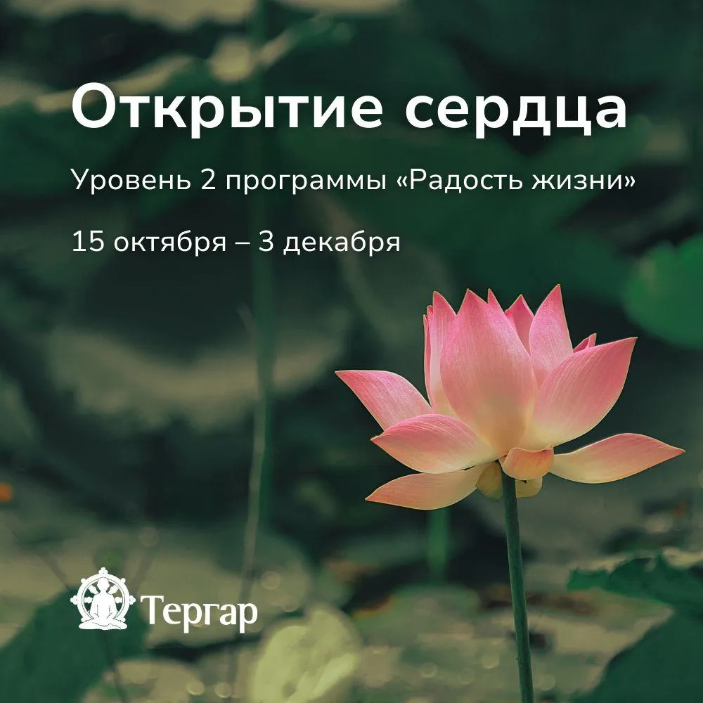 ❤️ 15 октября начинается последний в этом году поток курса «Открытие сердца»!