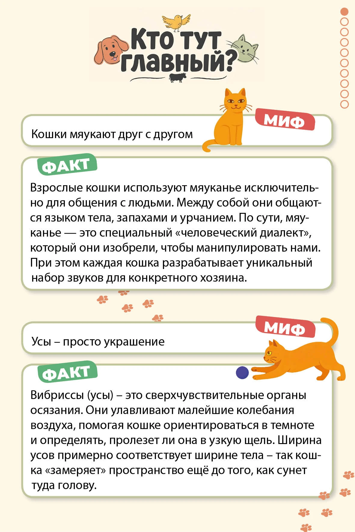 Кто тут главный? О тех, кто бегает, летает, мычит, лает и мяукает 👑