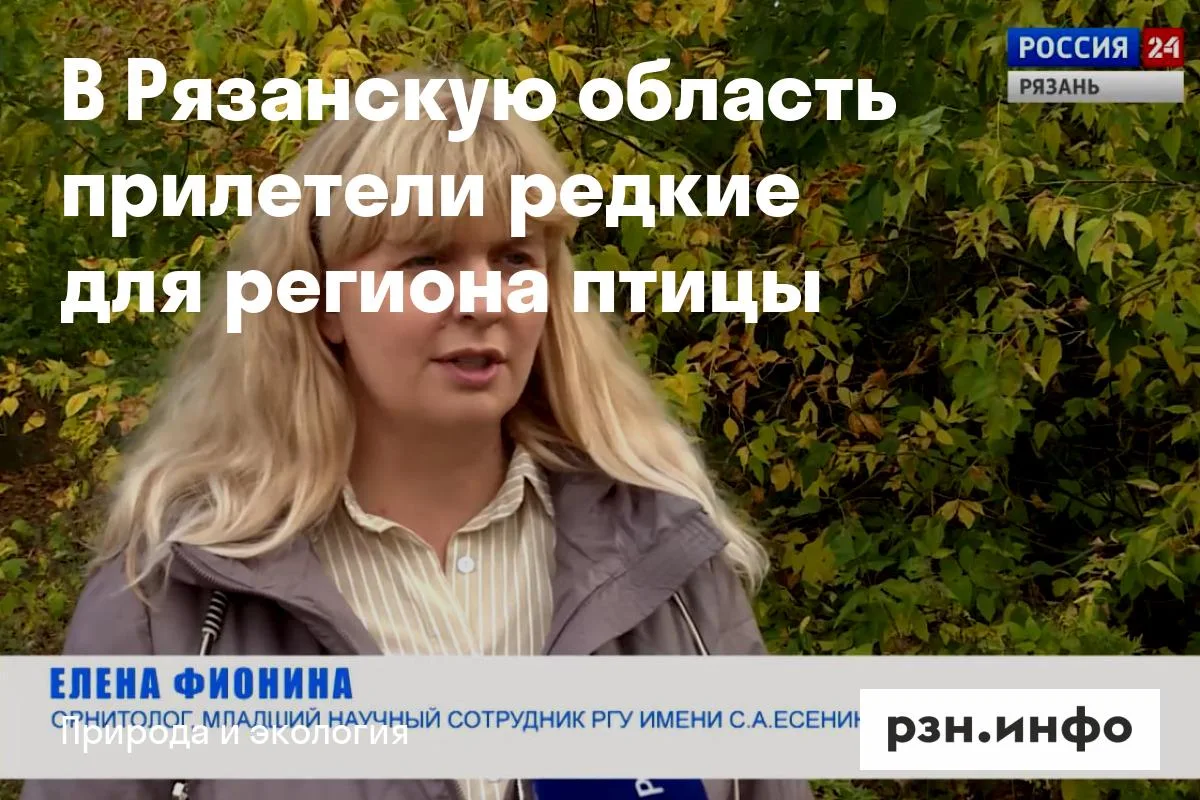 В Рязанскую область прилетели редкие для региона птицы