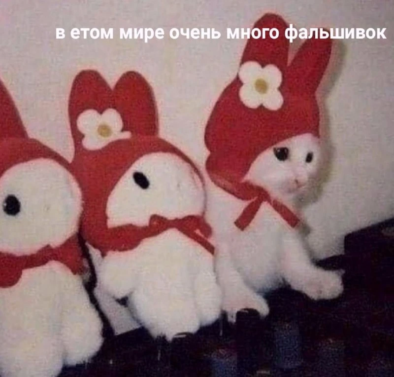 Мемы каждый день • Подписаться
