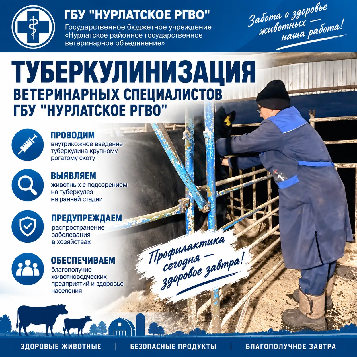 🩺 Специалисты ГБУ «Нурлатское РГВО» проводят туберкулинизацию — важный шаг для защиты ...