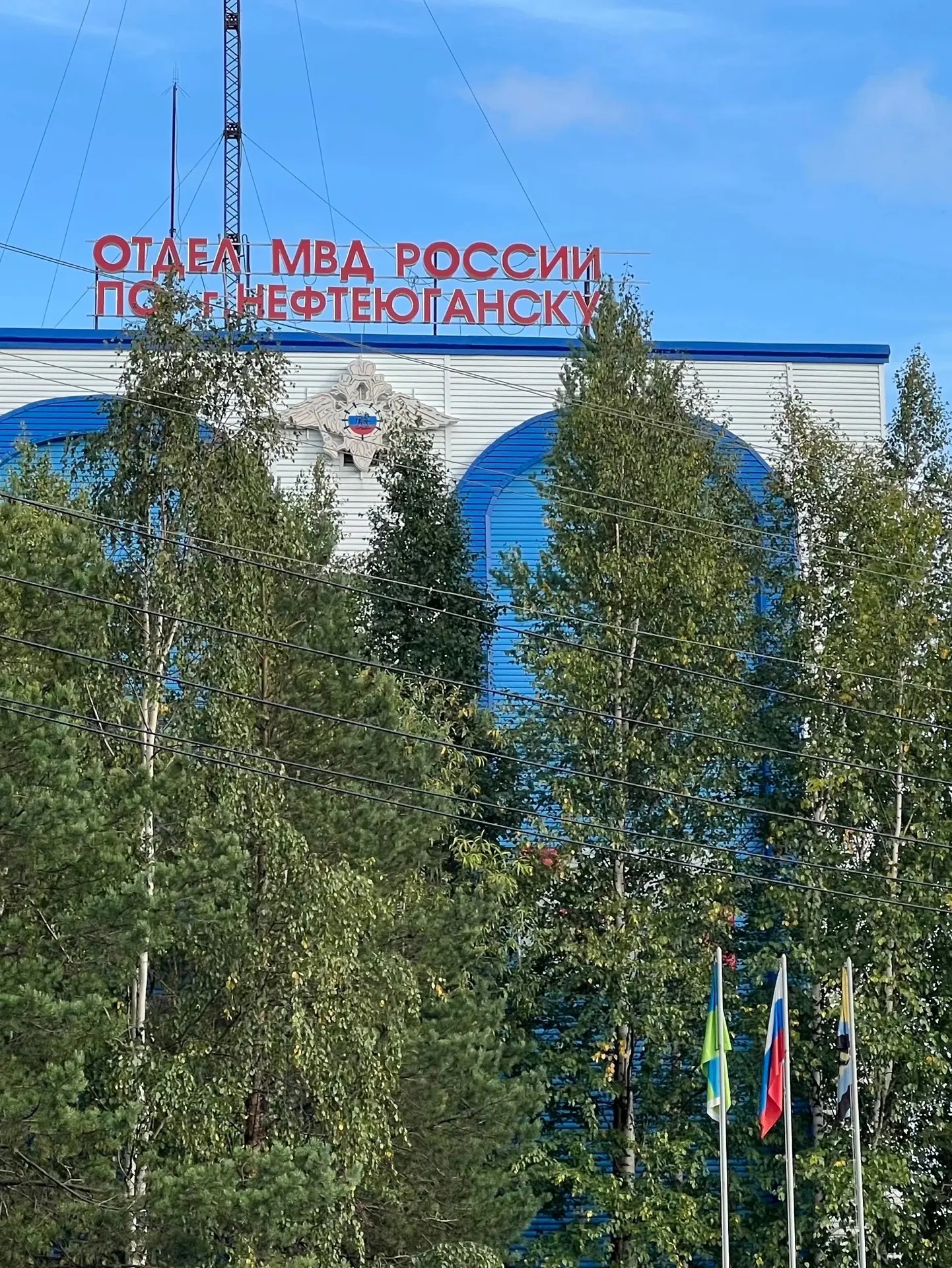 В Нефтеюганске осуждена местная жительница за организацию незаконной миграции
