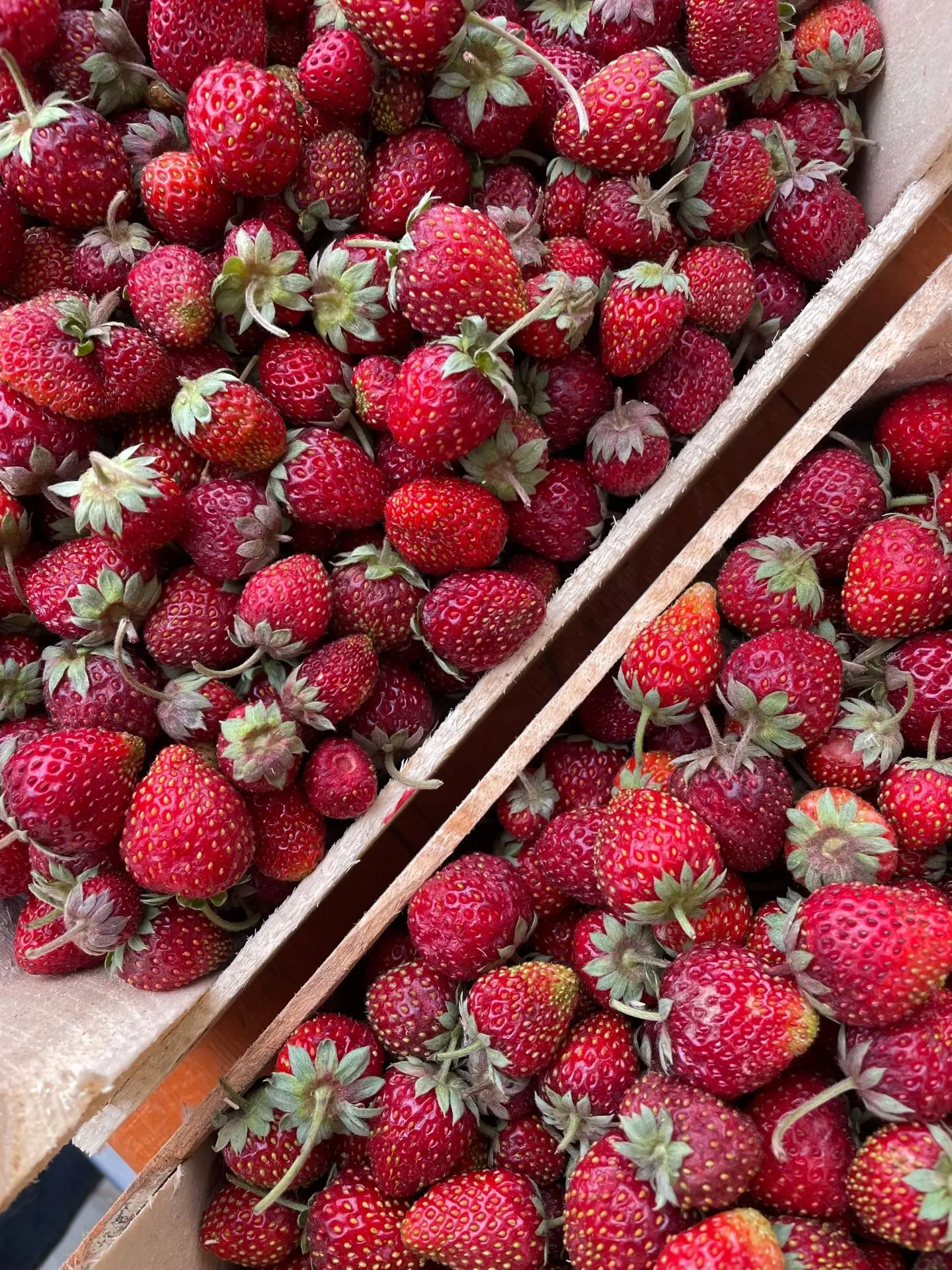 🍓🌈Доброе утро! Раздача ягоды продолжается!