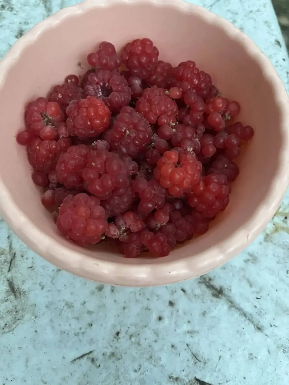 Малина не перестает давать урожай 🤗 несколько ягодок с чаем..ммм😋