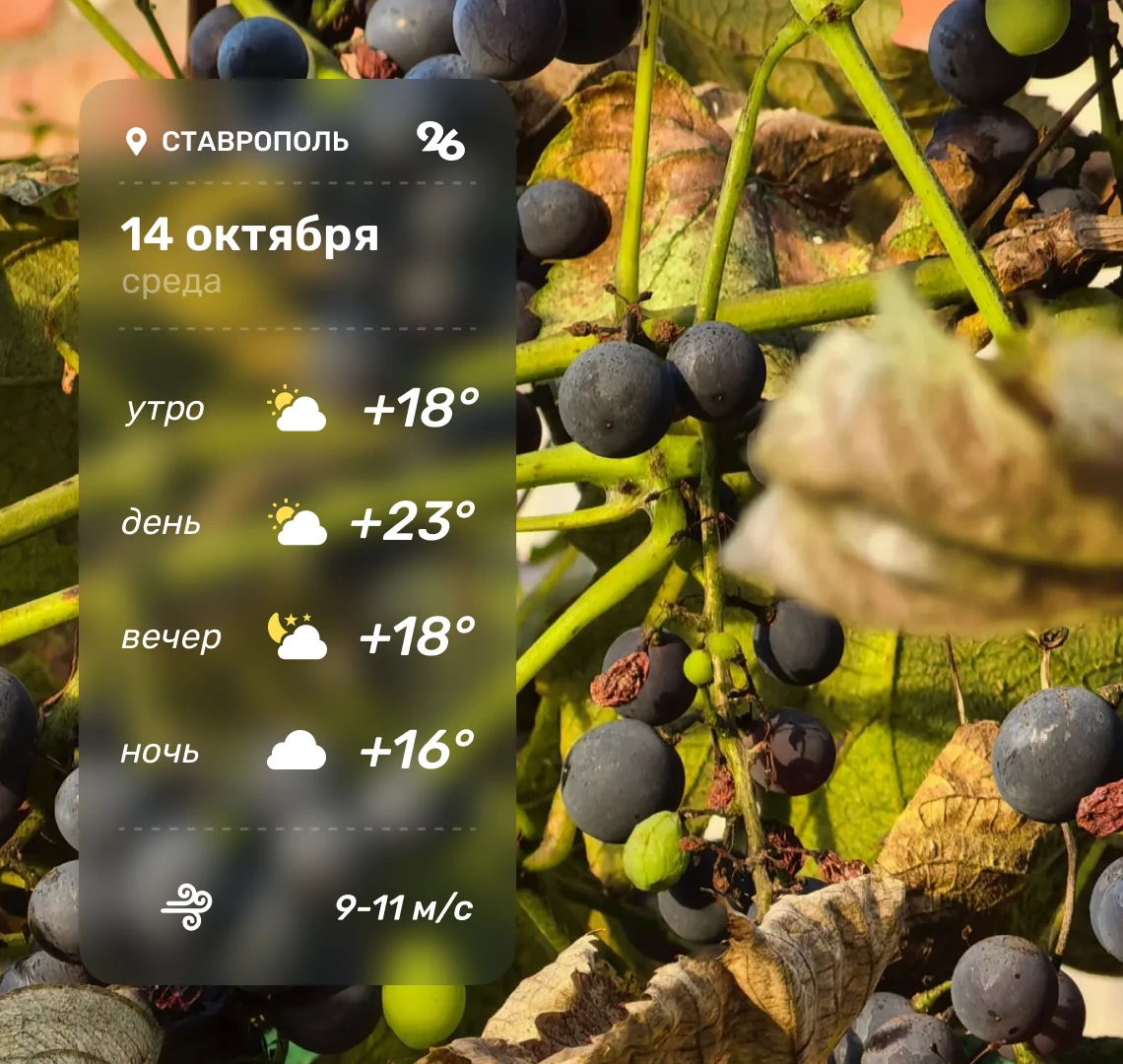 ⛅️ Погода в Ставрополе 14 октября