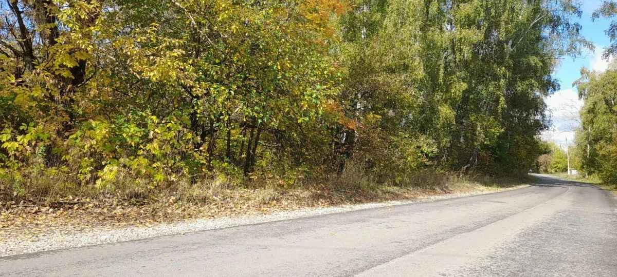 В Тульской области в выходные будет преимущественно теплая погода