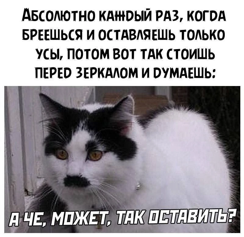 Мемы каждый день • Подписаться