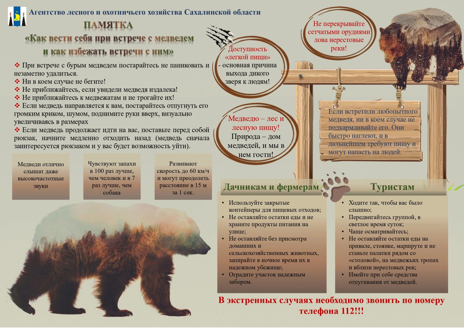 Основные правила: как избежать встречи с медведем