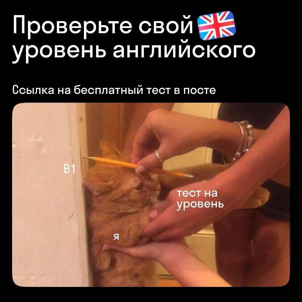 🟢 Узнайте свой уровень английского в онлайн-тесте за 15 минут 👉 https://go.skyeng.ru/...