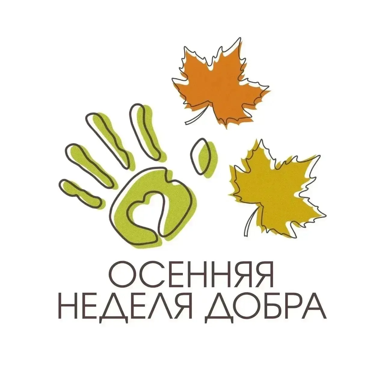«Осенняя неделя добра - 2026» проходит на территории Брянской области с 12 по 19 октябр...