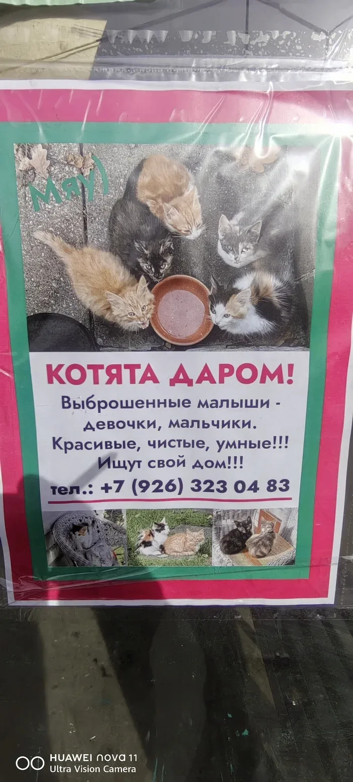 Балашиха