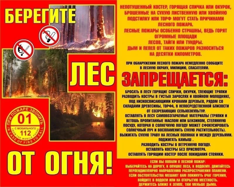 Акция «Чистый лес – территория без огня»