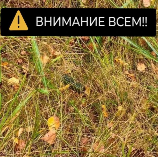 Внимание! Опасность в лесах! Участились случаи дистанционного сброса взрывных устройств...