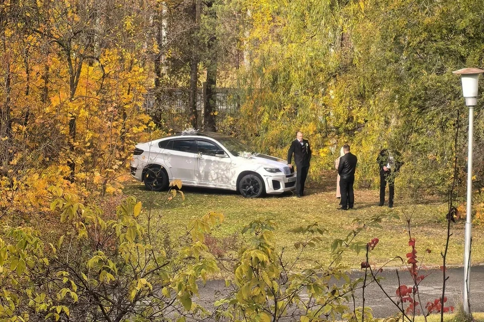 💍🚗 В Барнауле свадебный автомобиль заехал прямо на газон дендрария