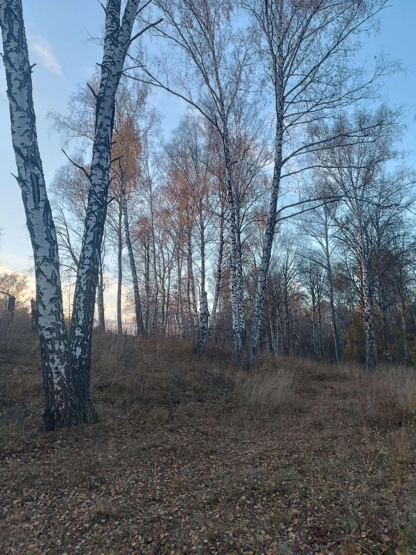 Осень пришла на наш "красный родник "🍁🍂🍁