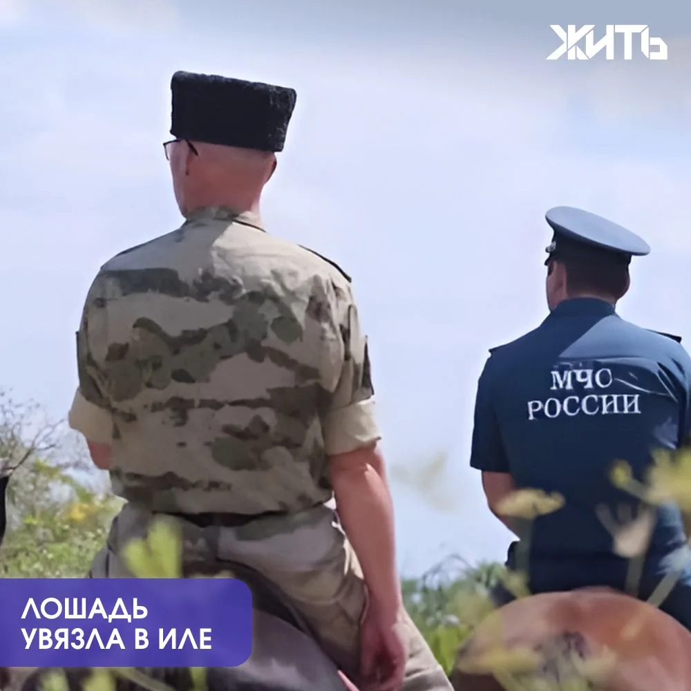 Лошадь увязла в речном иле, и спасатели подняли ее манипулятором