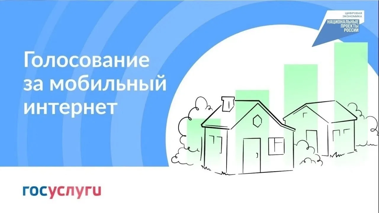 👍Помоги землякам! Голосуй за подключение территорий Плесецкого округа!