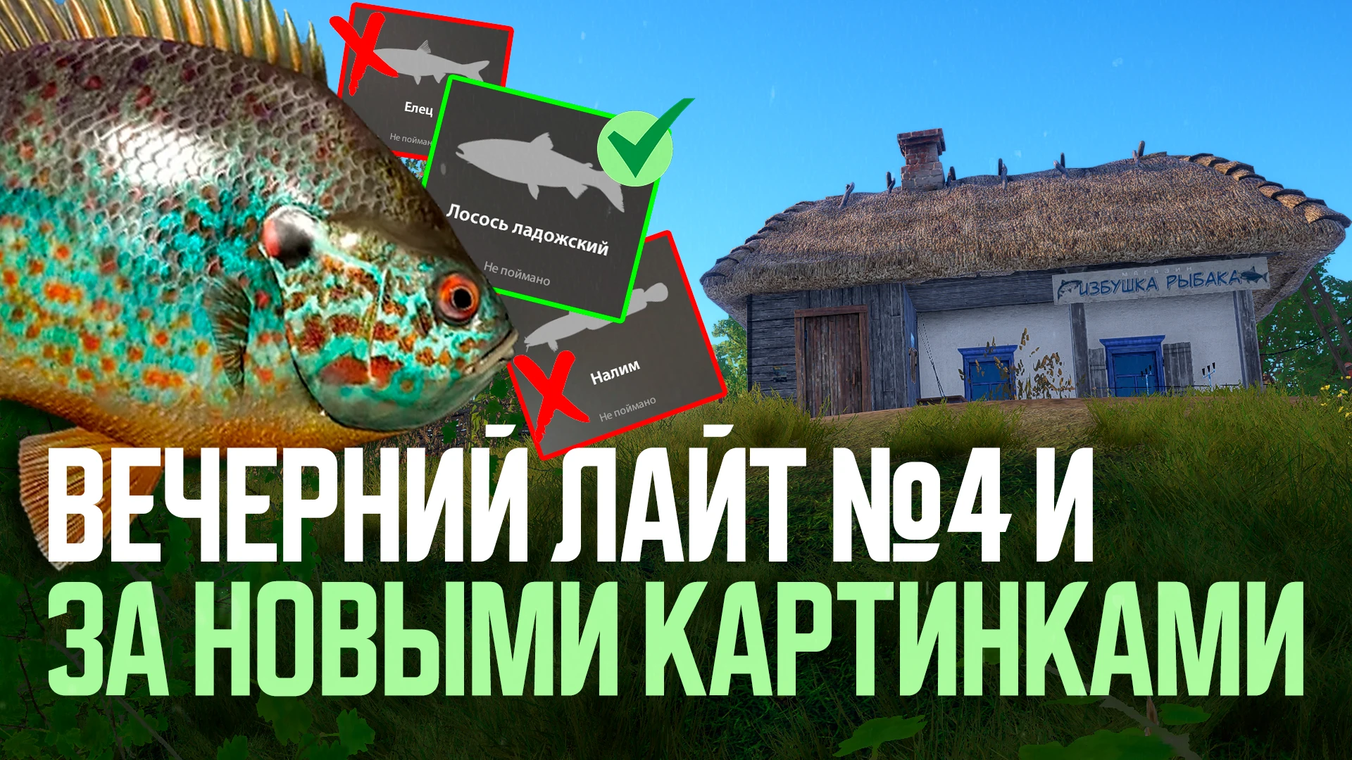 🎣 Стрим начался: