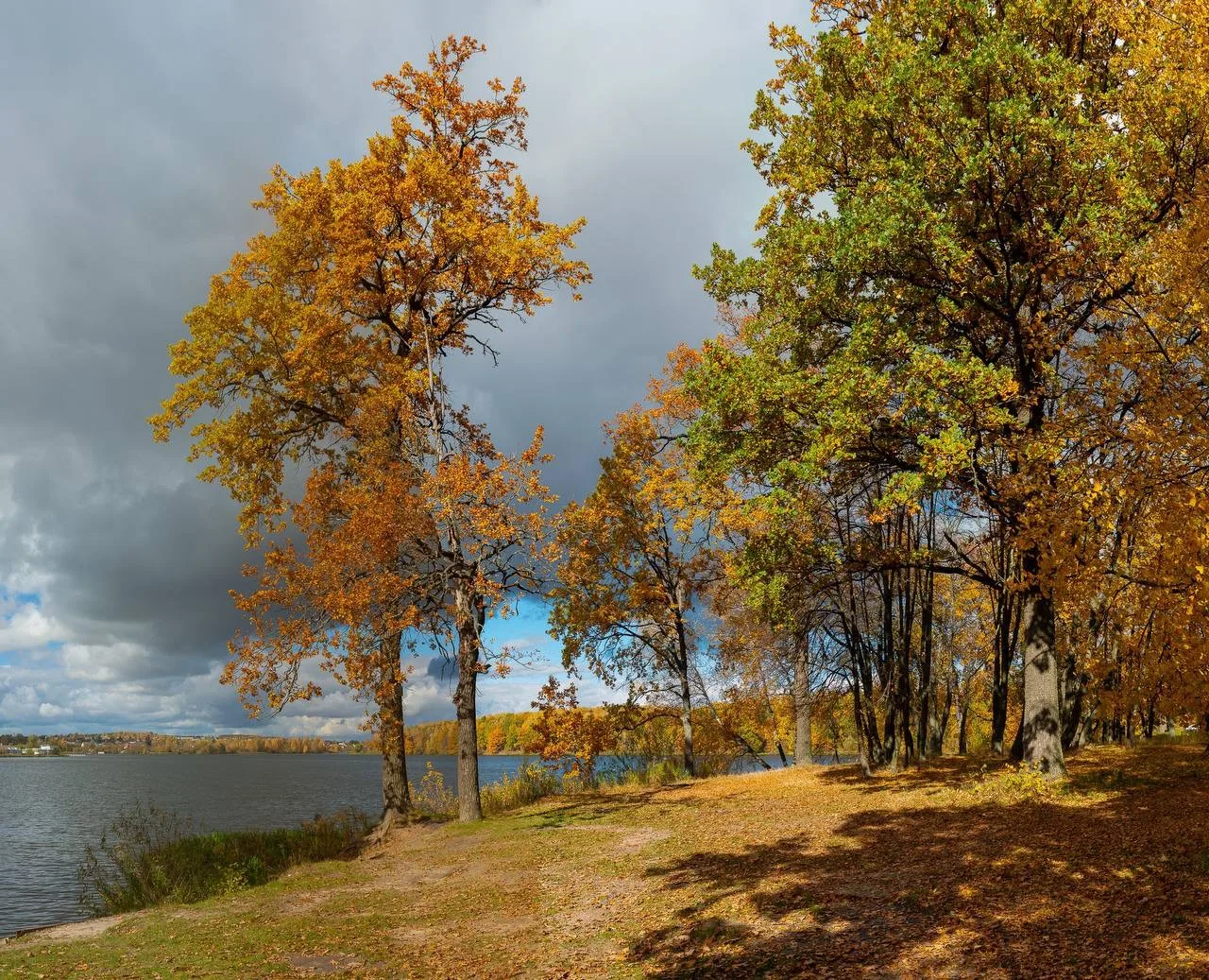 Осень. 🍂