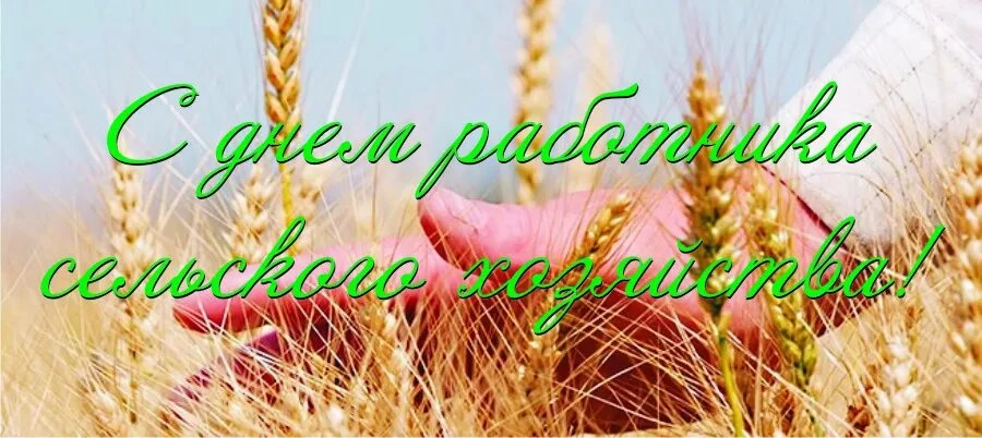 Уважаемые работники и ветераны сельского хозяйства!