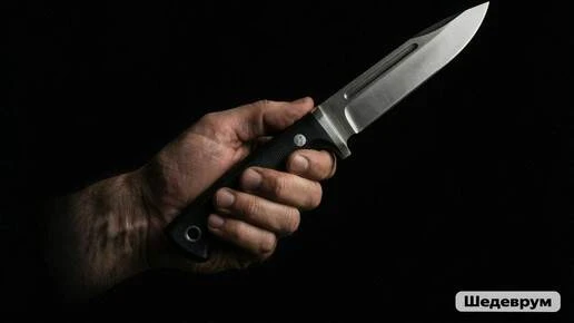 Ссора из-за женщины привела жителя Новосибирска на скамью подсудимых
