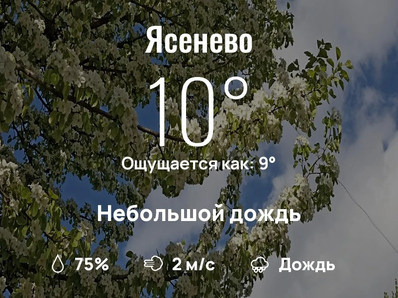Что с погодой в Ясенево?