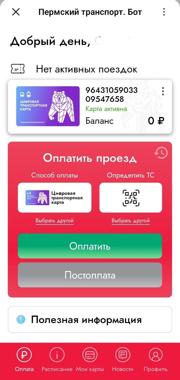 В боте для оплаты проезда можно заплатить позднее.