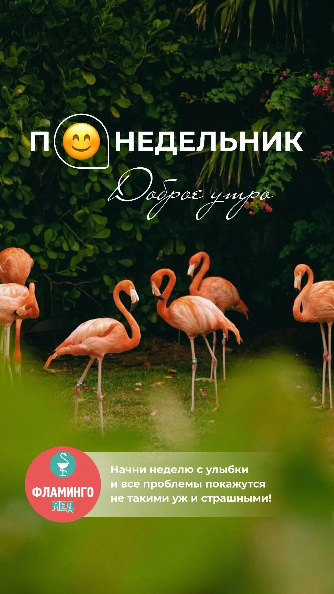12.10 (понедельник) 🦩