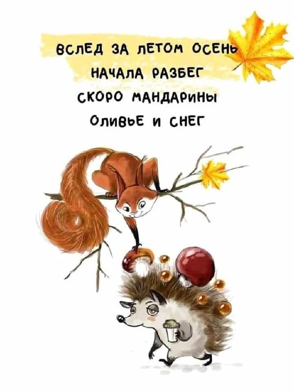 Вам открытка 💙 max | telegram