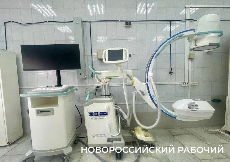 Доберется ли чума до Новороссийска?