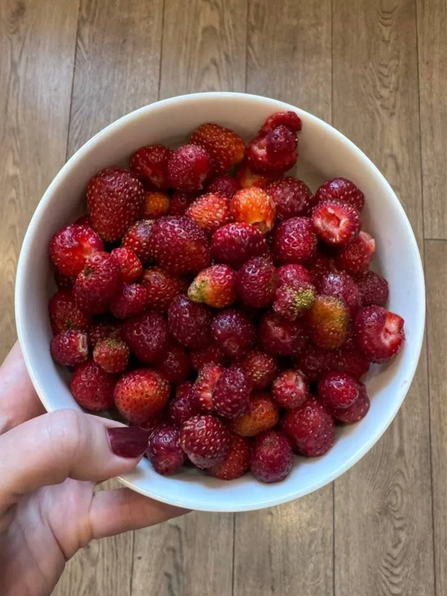 🍓 Творог с клубникой «Чёрный принц» - завтрак, ради которого хочется проснуться!