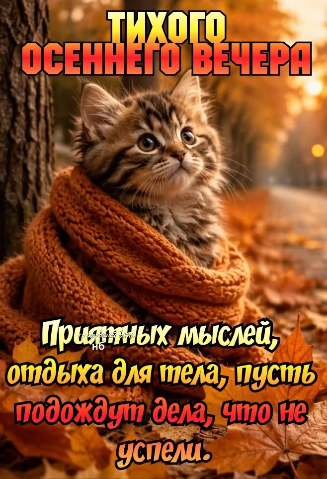 Тихого осеннего вечера