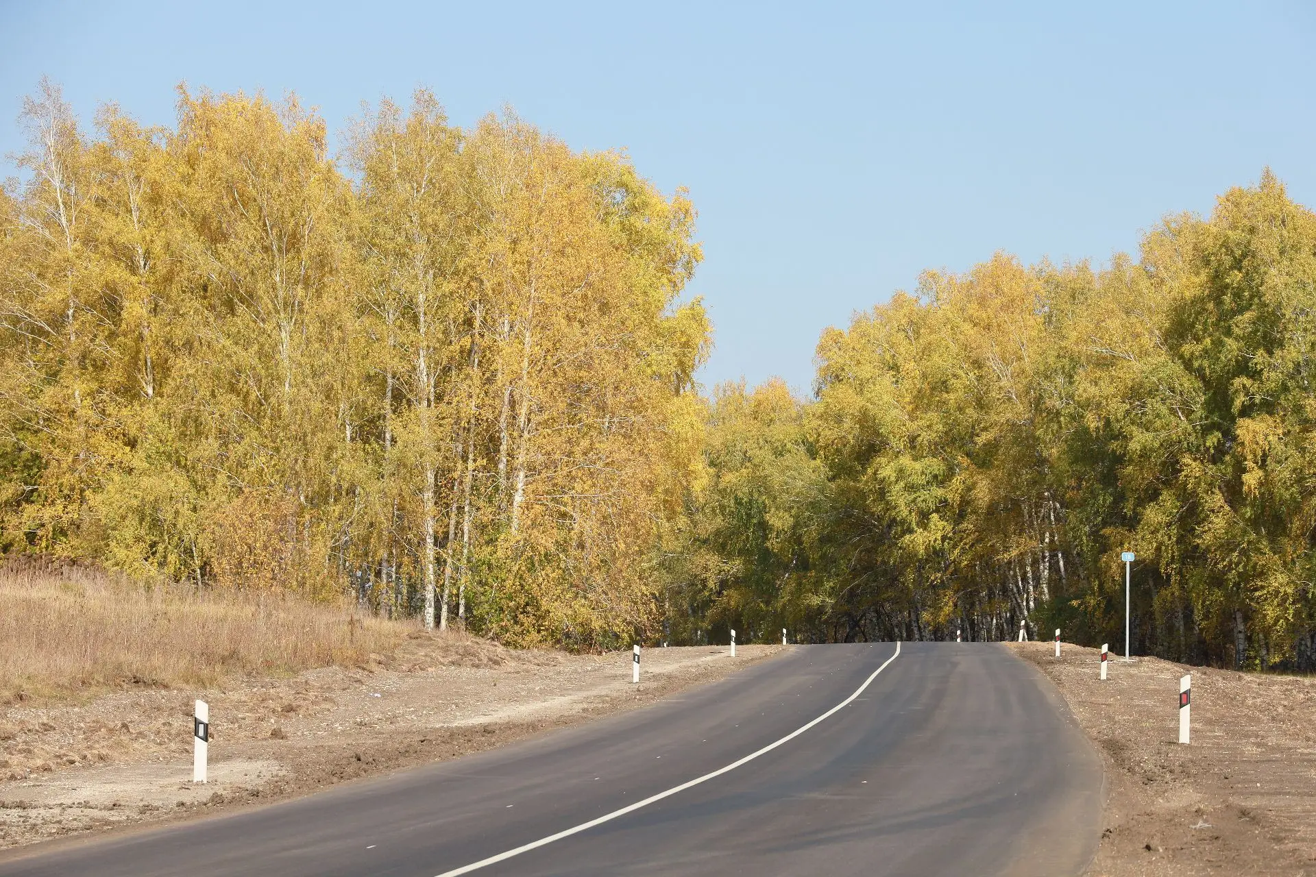 Доброе утро, наши дорогие подписчики! Сегодня – 12 октября, понедельник.