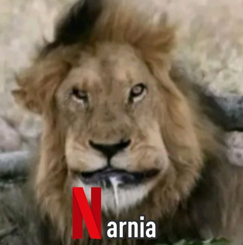 Новую «Нарнию» Греты Гервиг называют провалом ещё до премьеры — Netflix вложили в неё $...