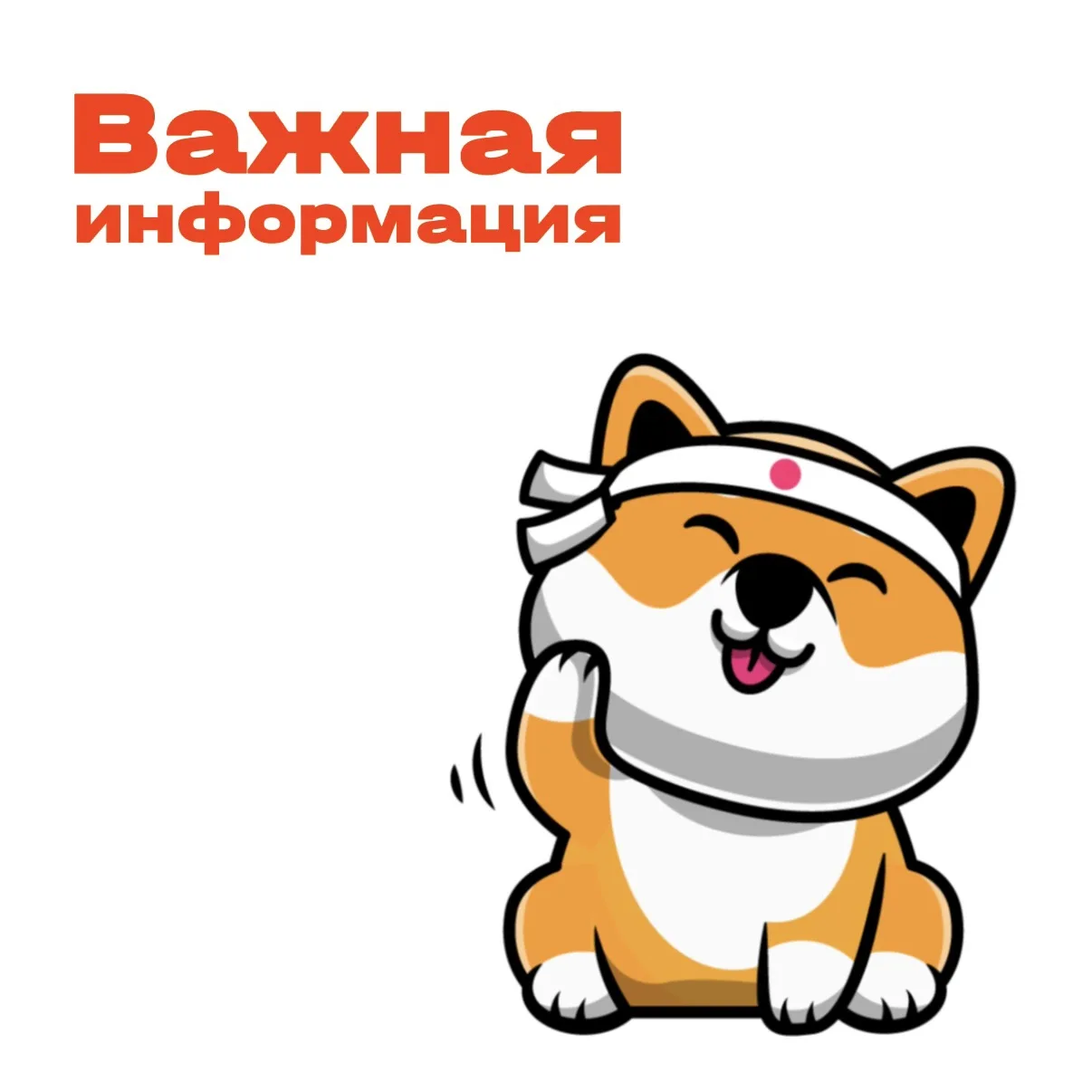 Важная информация 🚨