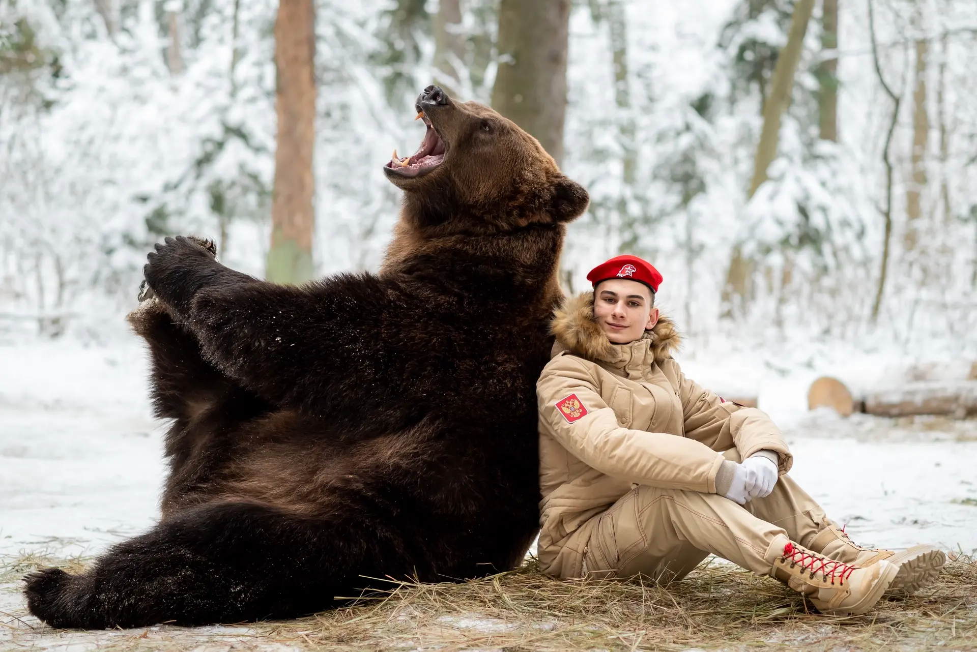 При чём тут медведь?🐻