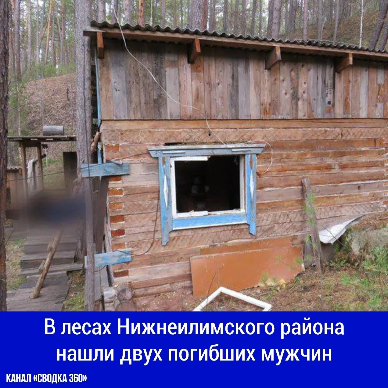 В лесах Нижнеилимского района нашли двух погибших мужчин. Следователи проверяют, могли ...