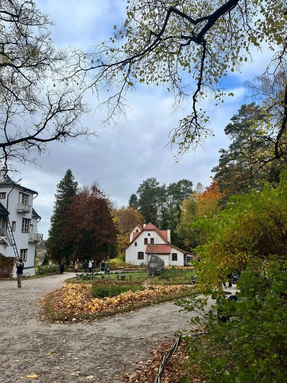 🍂 Золотую осень на Оке встретили старшеклассники.