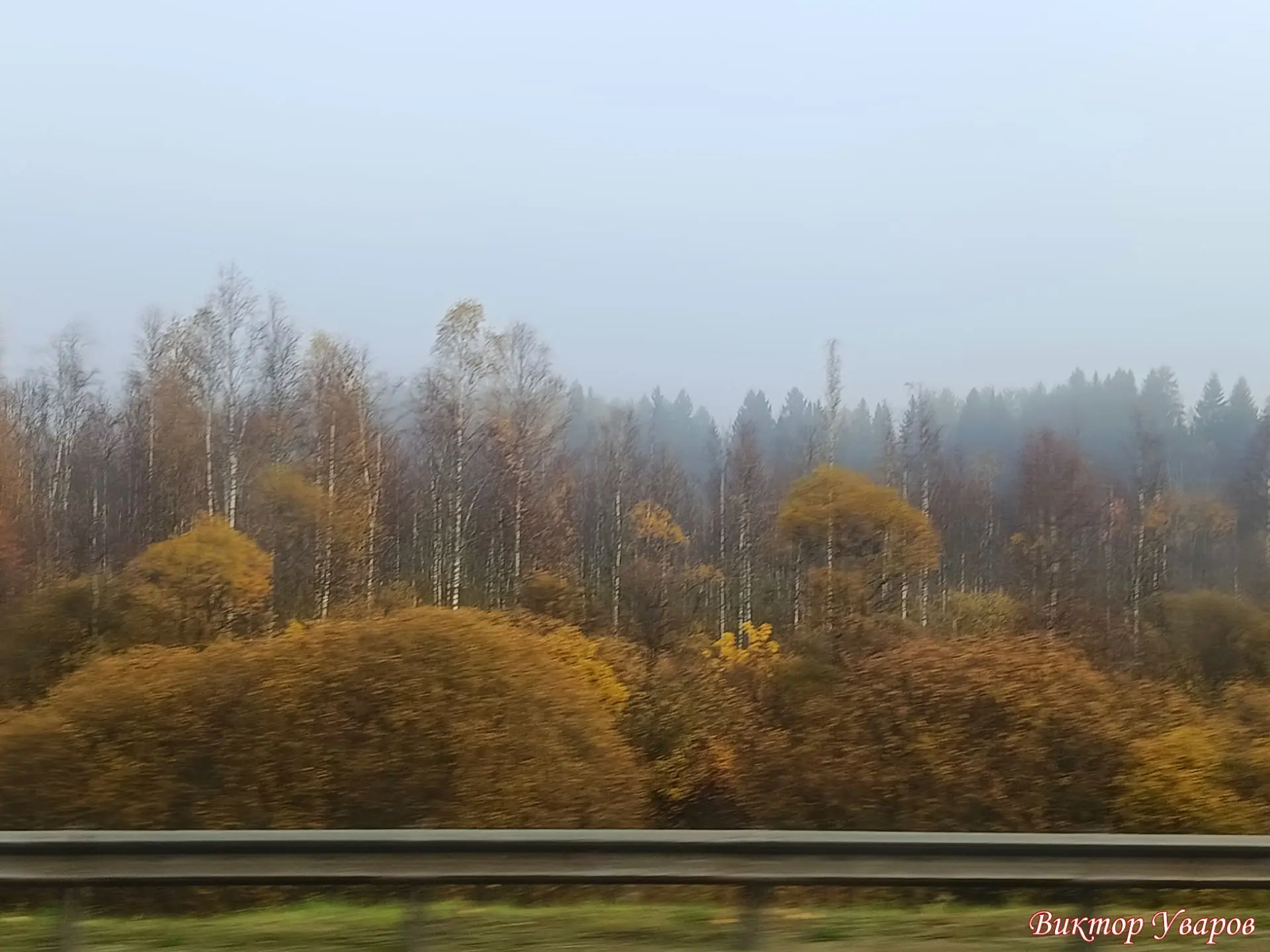 Туманное утро в окрестностях Великого Новгорода 🍂