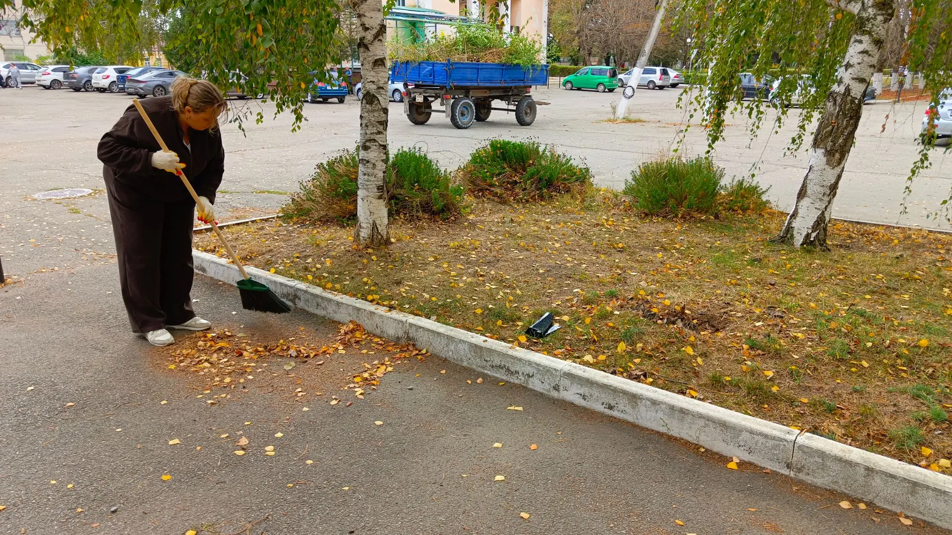 Очередной субботник проводится 16.10.2026г. в селе Ивановское специалистами  Ивановског...